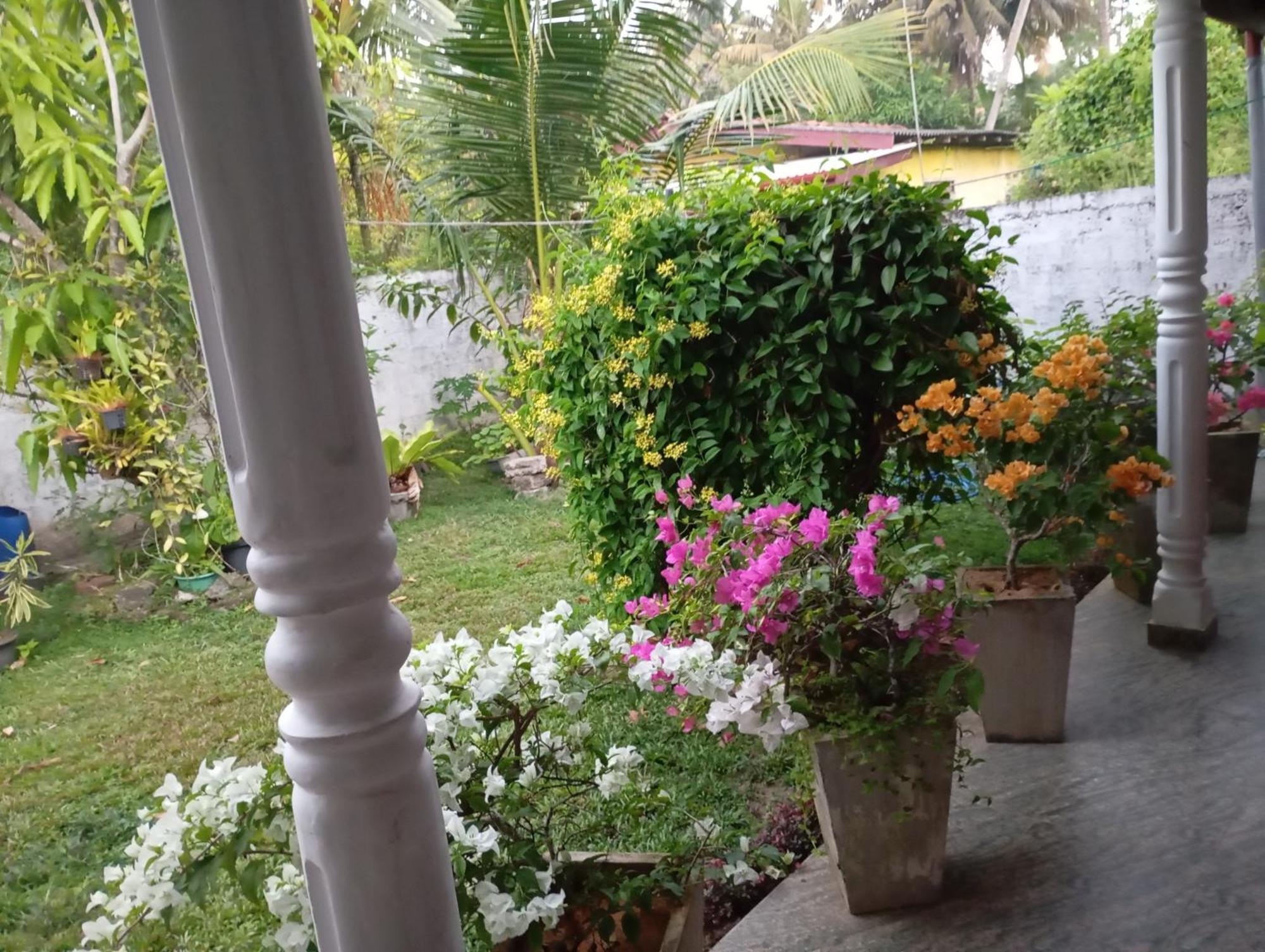 Southern Beach Surf Lodge Ahangama Dış mekan fotoğraf